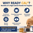 under-the-weather-ready-cal-high-calorie-2.jpg