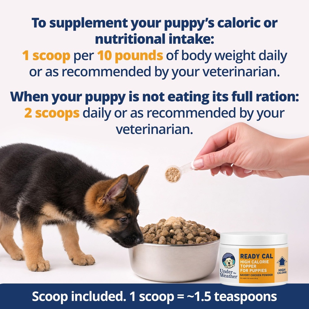 under-the-weather-ready-cal-high-calorie-6.jpg