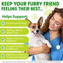 yeast-infection-treatment-for-dogs-60ml--3.jpg