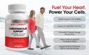 1lifescience-heart-health-cardiovascular-6.jpg