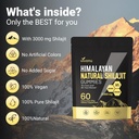 shilajit-micronutrient-supplement-himala-6.jpg