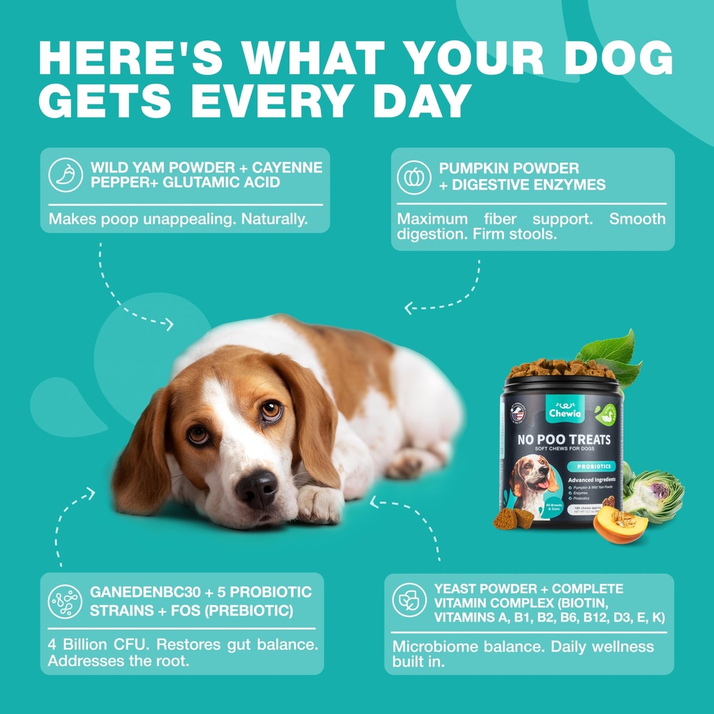no-poo-chews-for-dogs-poop-eating-stool--4.jpg