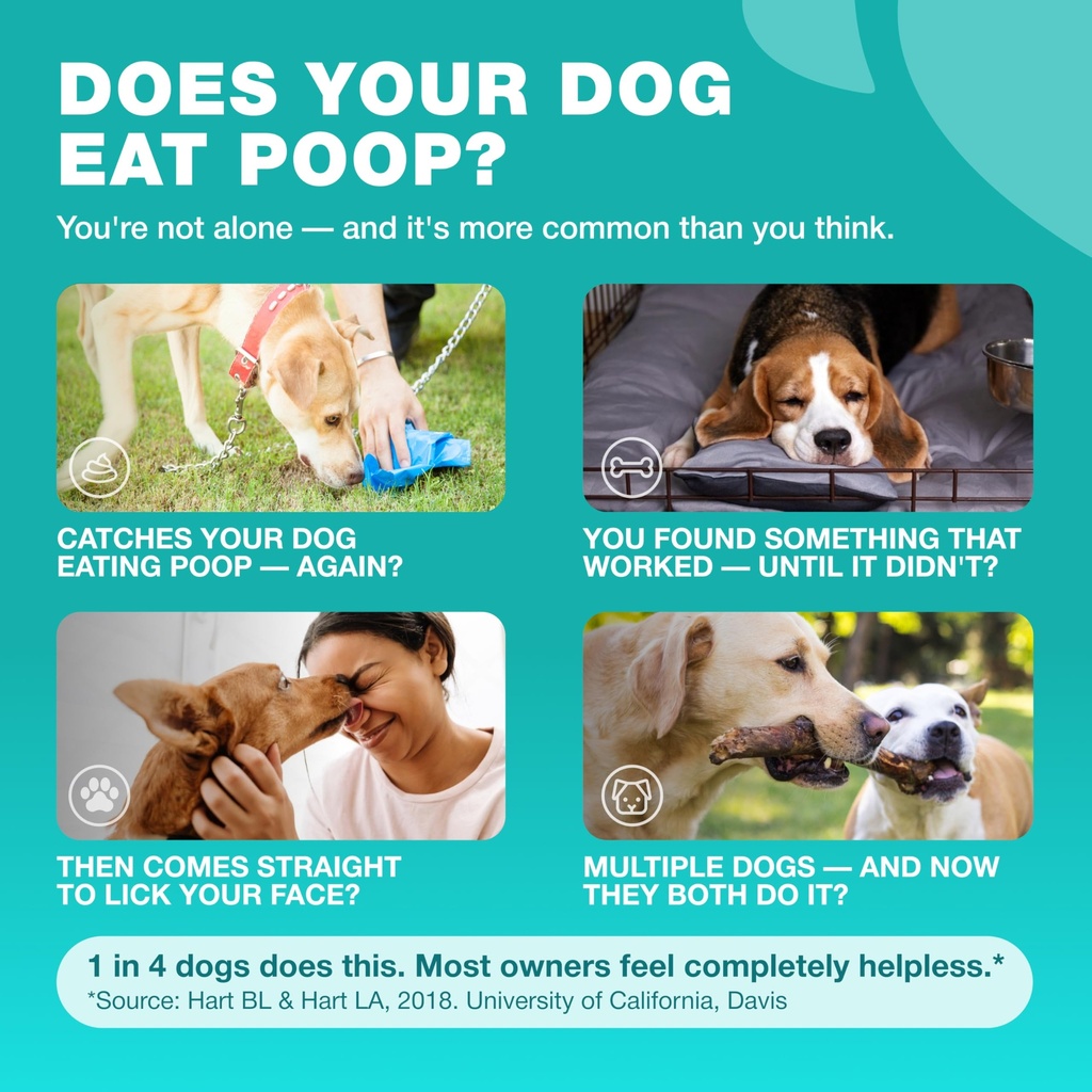 no-poo-chews-for-dogs-poop-eating-stool--2.jpg