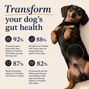 zubest-probiotics-for-dogs-soft-chews-3--3.jpg