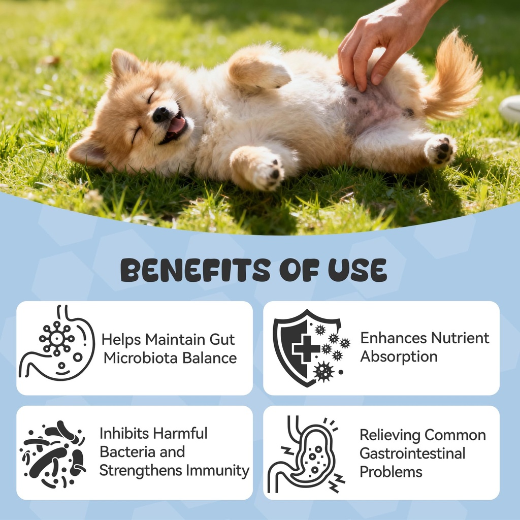 probiotics-for-dogs-boosts-immune-system-3.jpg