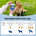 probiotics-for-dogs-boosts-immune-system-5.jpg