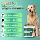 dog-multivitamin-glucosamine-chondroitin-3.jpg