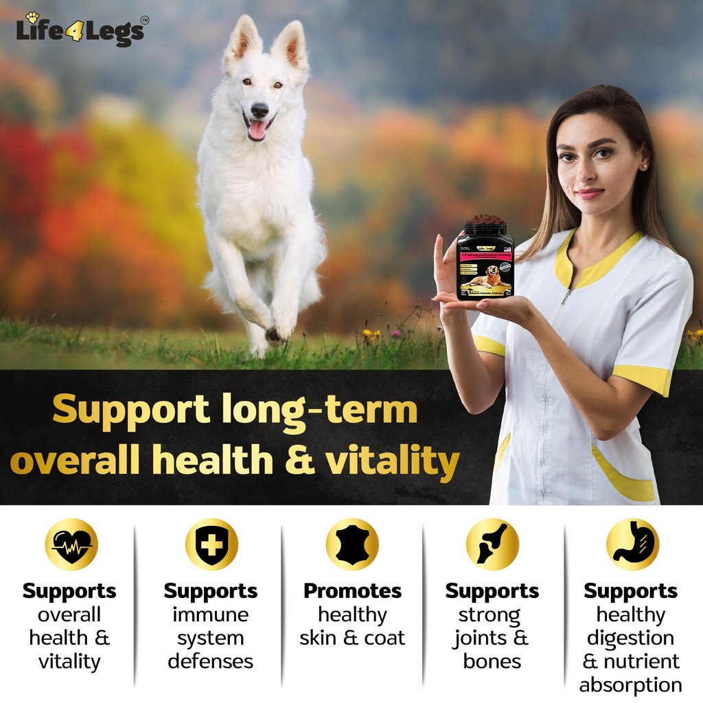 soft-chews-dog-vitamins-supplements-dog--4.jpg