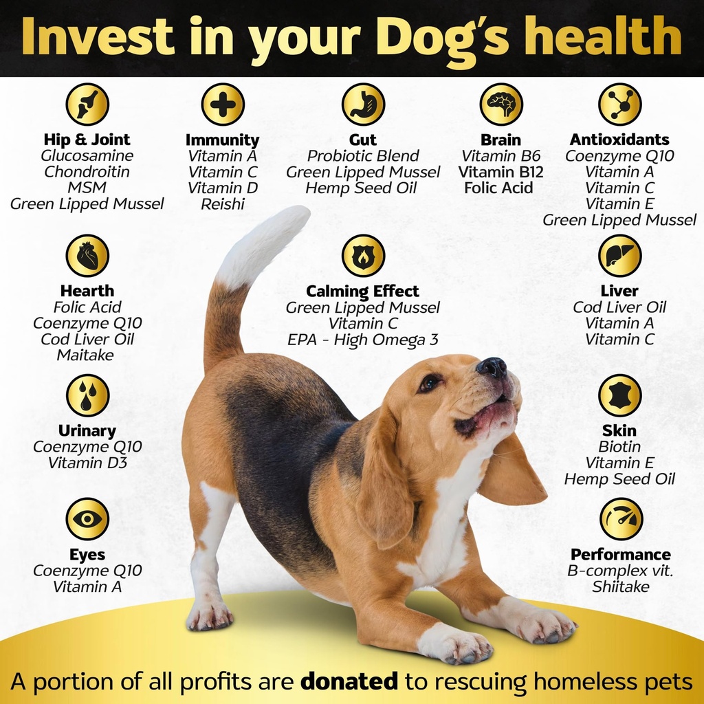 soft-chews-dog-vitamins-supplements-dog--2.jpg
