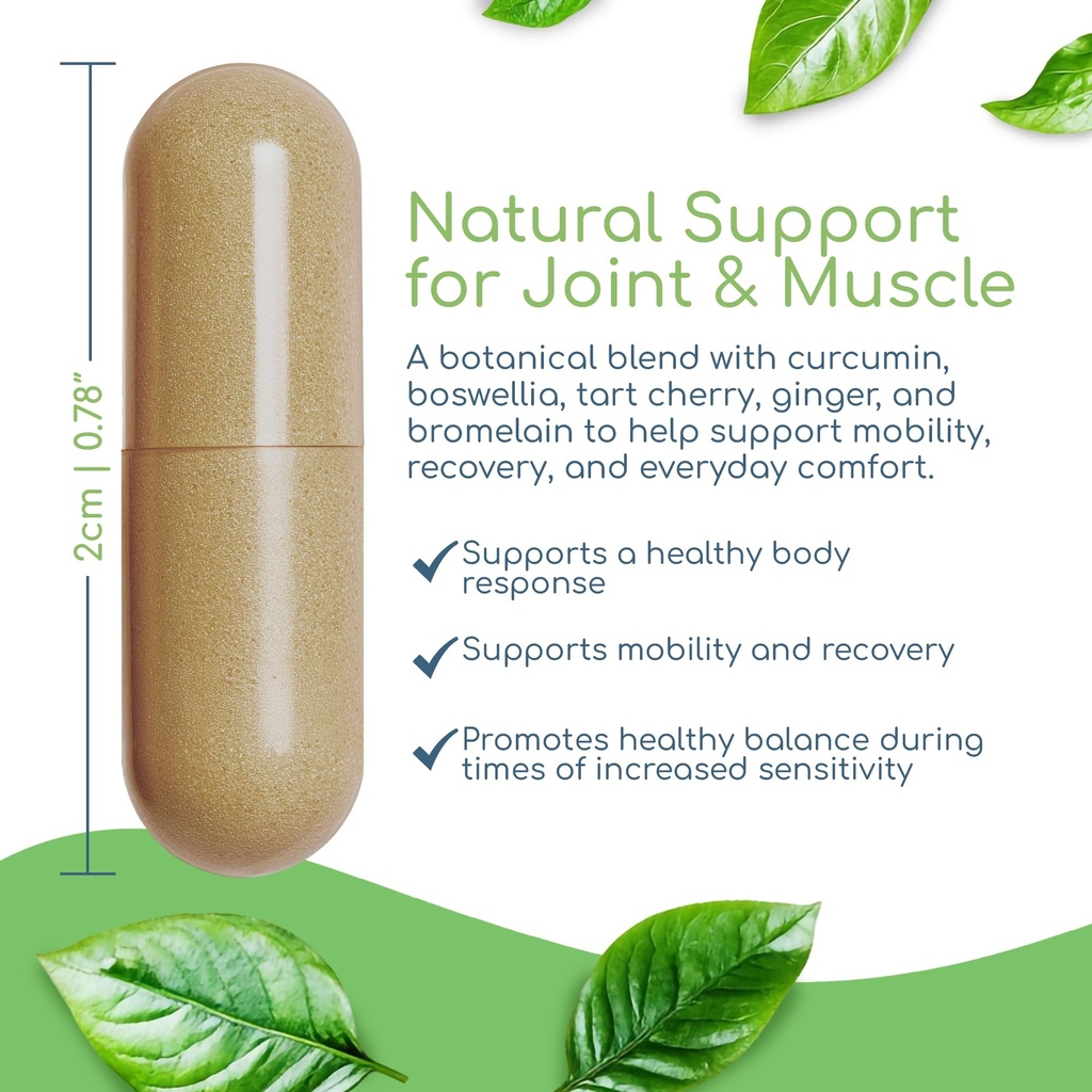 itis-herbal-wellness-supplement-celery-s-4.jpg