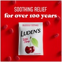 luden-s-sore-throat-relief-drops-wild-ch-5.jpg