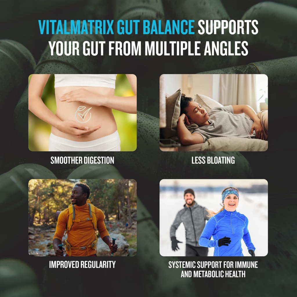vitalmatrix-gut-balance-1080mg-psyllium--3.jpg