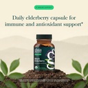 gaia-herbs-black-elderberry-daily-immune-3.jpg