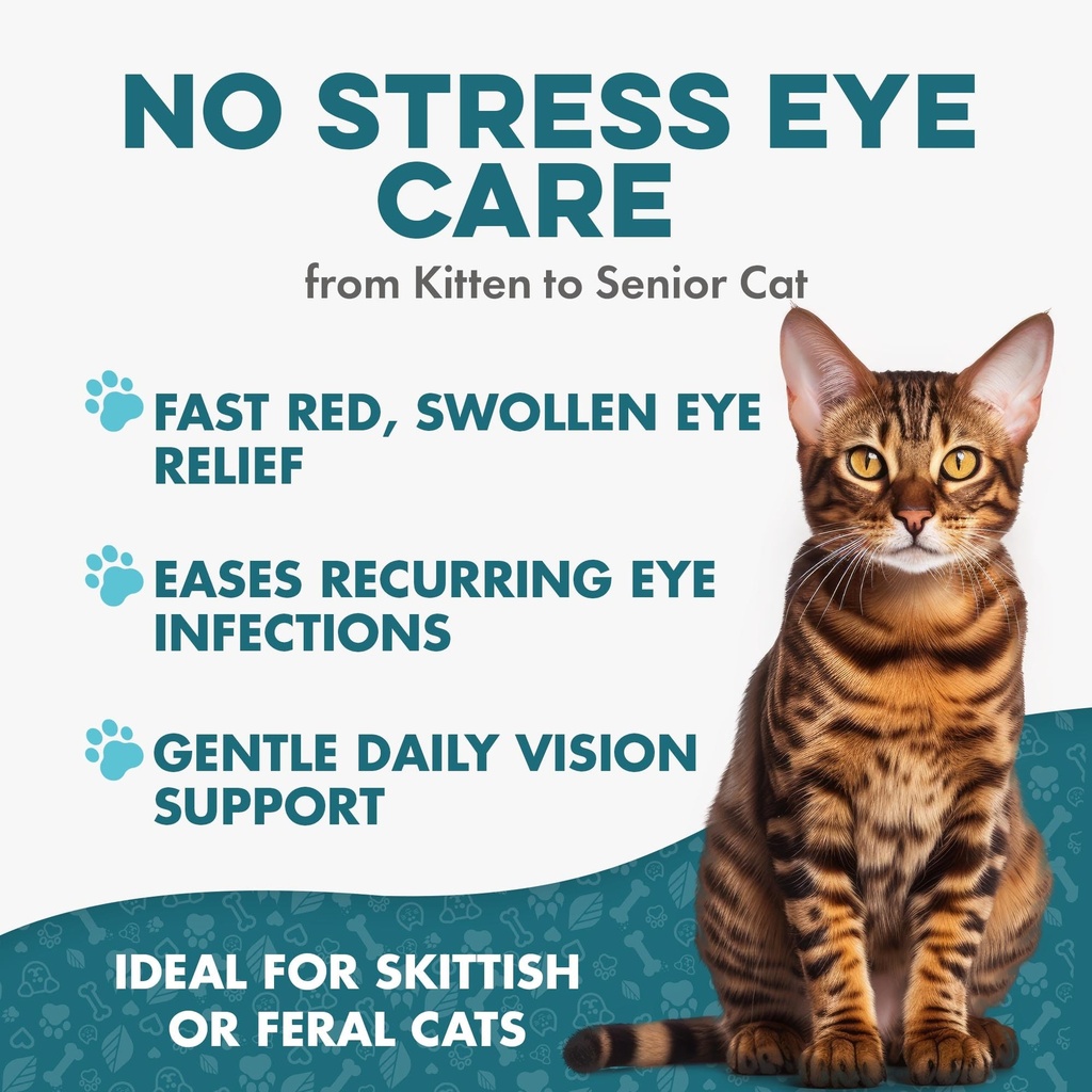 cat-eye-infection-vision-care-support-ho-4.jpg