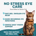 cat-eye-infection-vision-care-support-ho-4.jpg