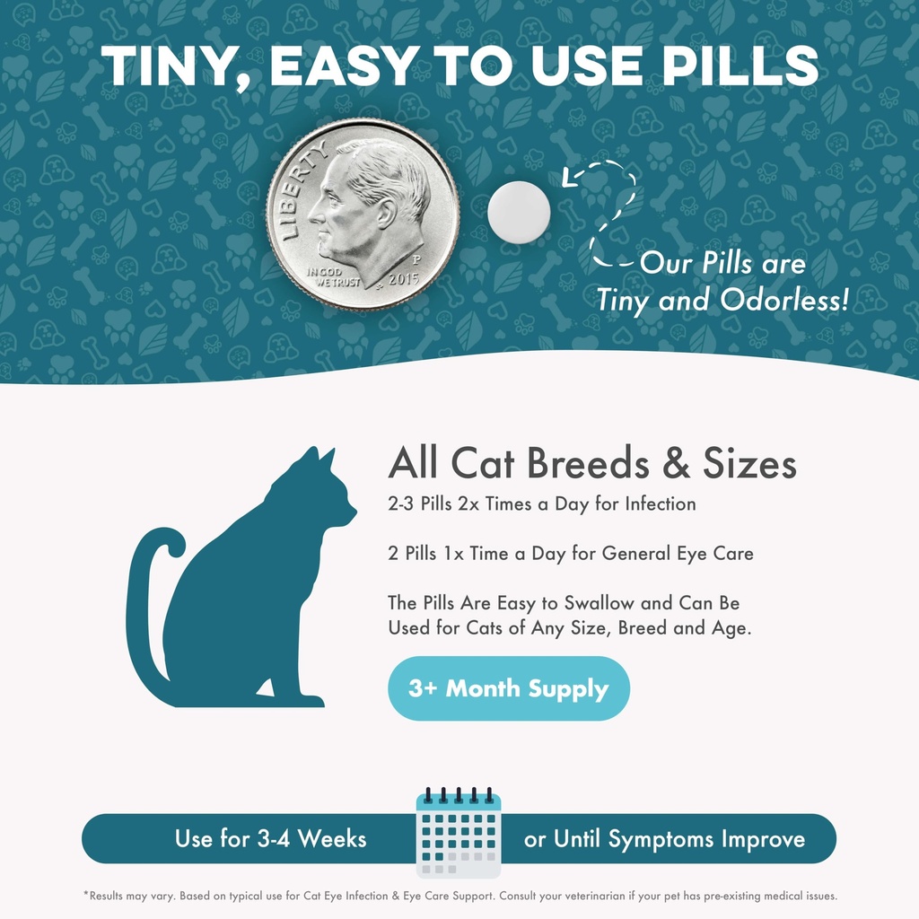 cat-eye-infection-vision-care-support-ho-5.jpg