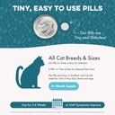 cat-eye-infection-vision-care-support-ho-5.jpg