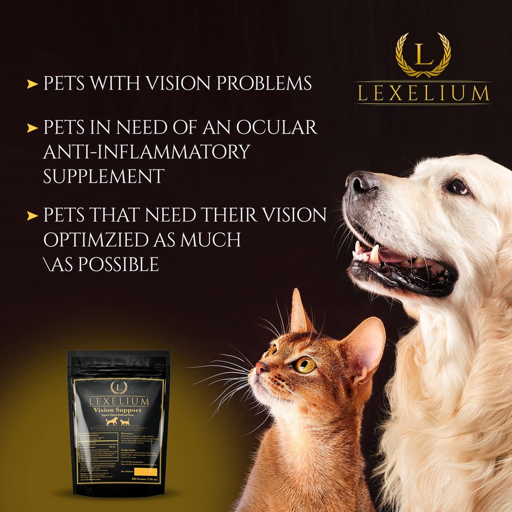 vision-eye-support-for-dogs-cats-with-lu-4.jpg