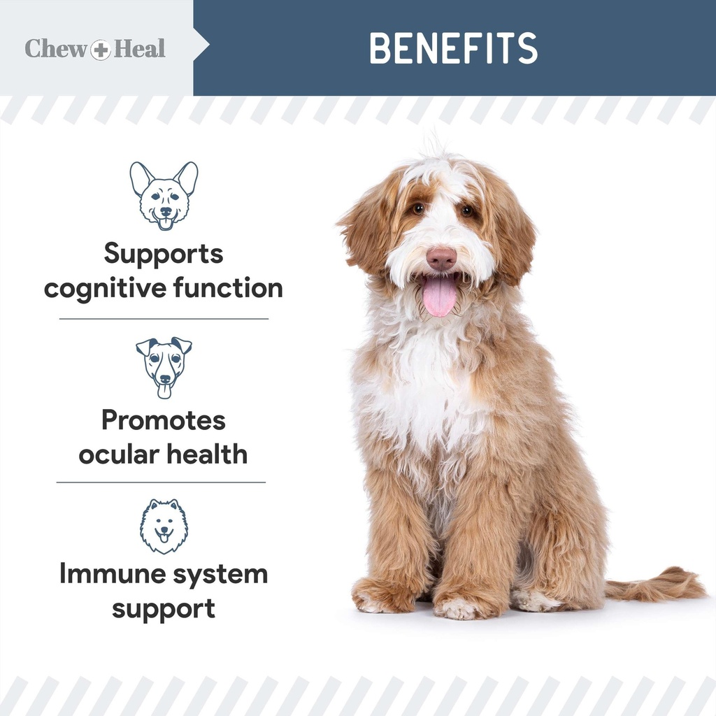 senior-dog-vision-and-cognition-suppleme-5.jpg