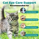cat-eye-infection-treatment-vision-care--4.jpg