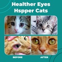 cat-eye-infection-treatment-vision-care--5.jpg