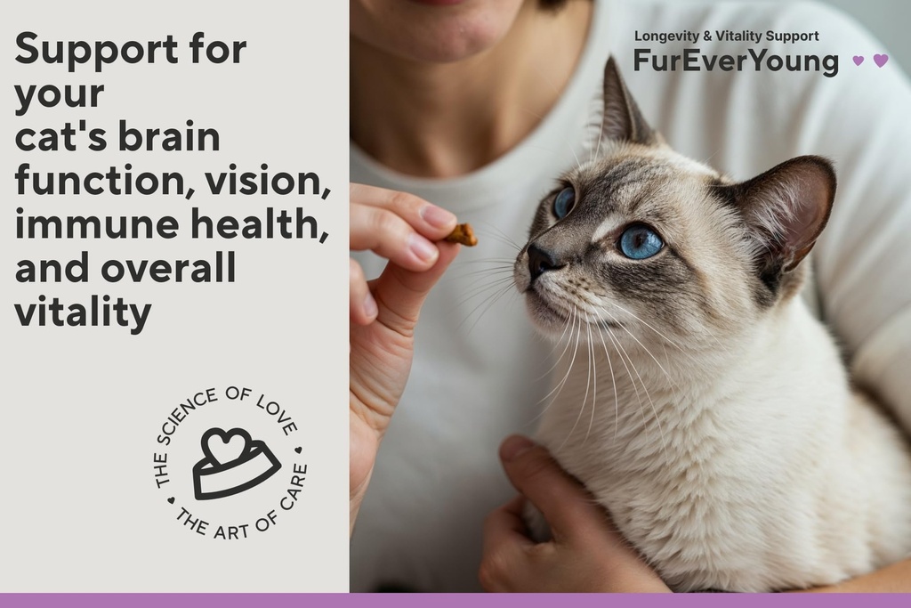 supplement-treats-for-senior-cats-cognit-5.jpg