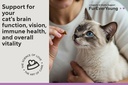 supplement-treats-for-senior-cats-cognit-5.jpg