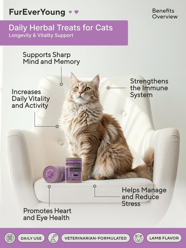 supplement-treats-for-senior-cats-cognit-4.jpg