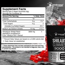 wellness-labsrx-nmnh-capsules-and-shilaj-3.jpg