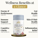 shilajit-and-moringa-gummies-elderberry--2.jpg