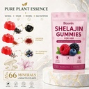 bloomin-shilajit-gummies-60-gummies-for--6.jpg