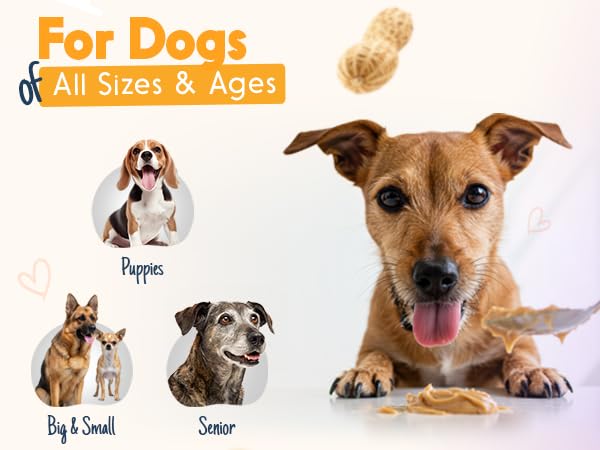 relax-rover-buddy-budder-stress-anxiety--5.jpg