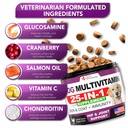 dog-multivitamin-chewable-with-glucosami-3.jpg