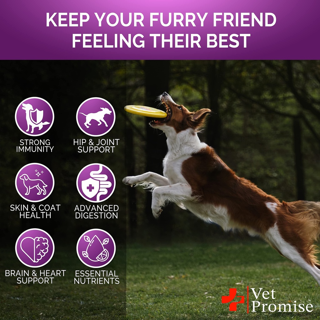 dog-multivitamin-chewable-with-glucosami-4.jpg