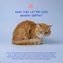 cranberry-for-cats-powder-uti-bladder-he-4.jpg