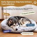 petnanny-cranberry-supplement-for-dogs-u-4.jpg