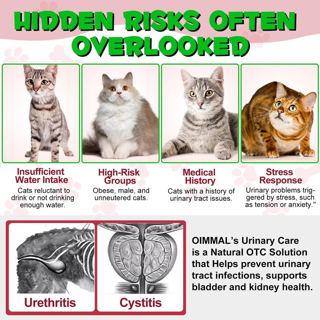 feline-urinary-tract-health-2pack-cat-ut-6.jpg