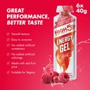 high5-energy-gel-berry-6-pack-vegan-carb-4.jpg