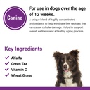 antioxidants-supplement-with-coenzyme-q--6.jpg