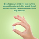 uti-treatment-for-dogs-and-cats-relieve--2.jpg