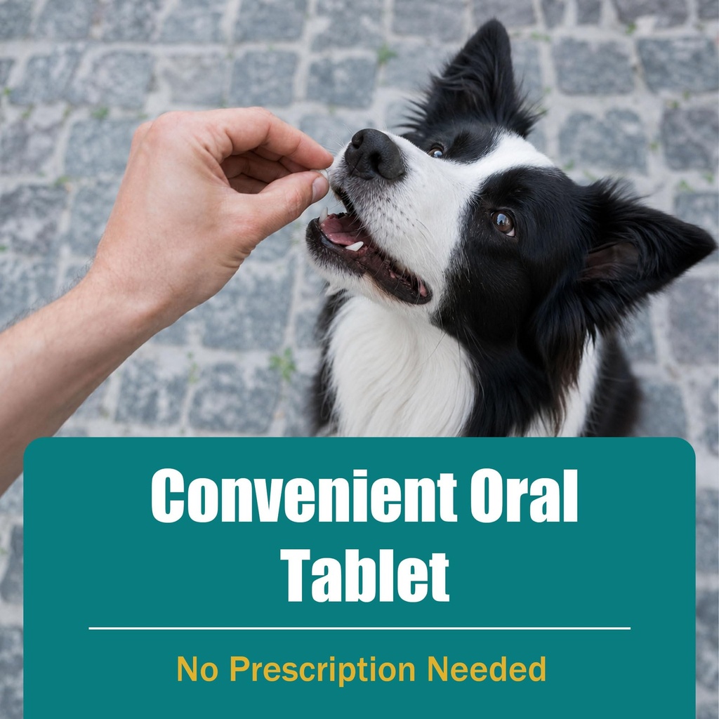 uti-treatment-for-dogs-and-cats-relieve--6.jpg