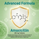 uti-treatment-for-dogs-and-cats-relieve--4.jpg