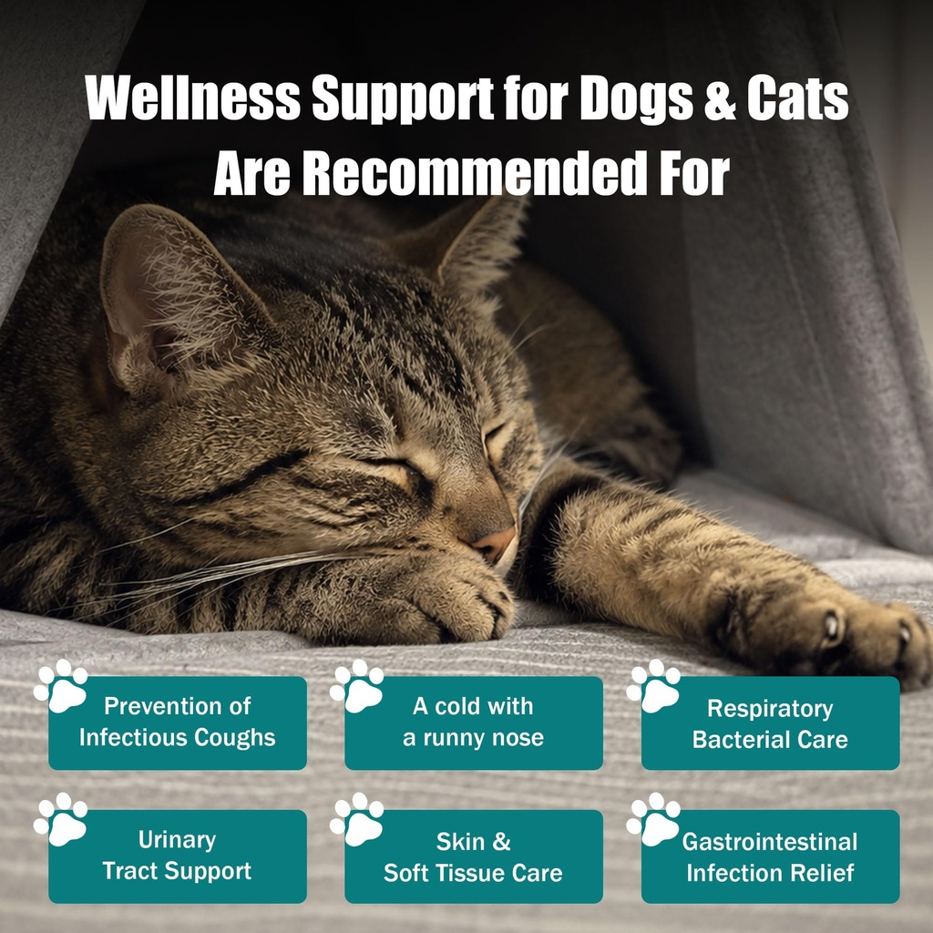 uti-treatment-for-dogs-and-cats-relieve--5.jpg