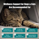 uti-treatment-for-dogs-and-cats-relieve--5.jpg