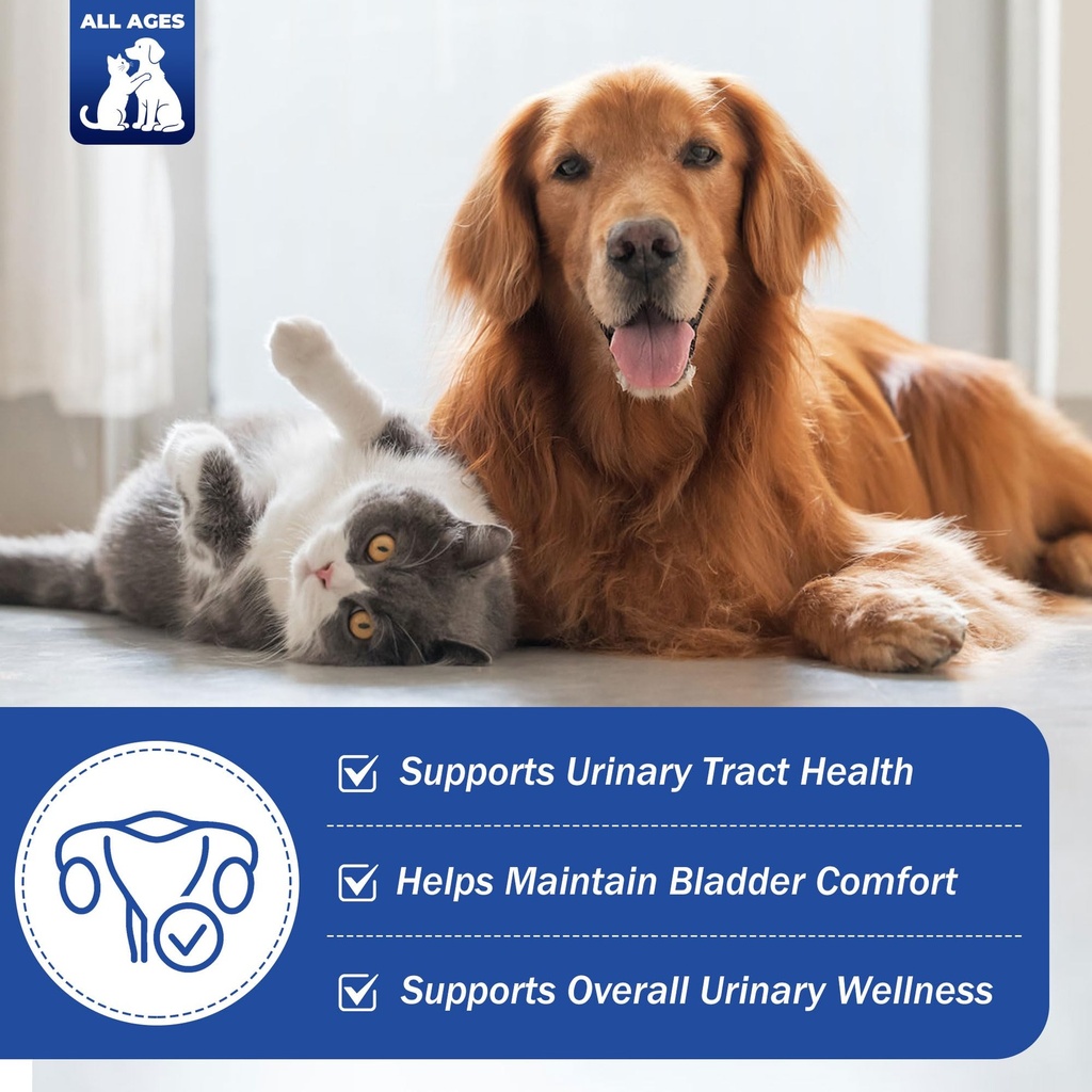 uti-treatment-for-dogs-and-cats-relieve--3.jpg