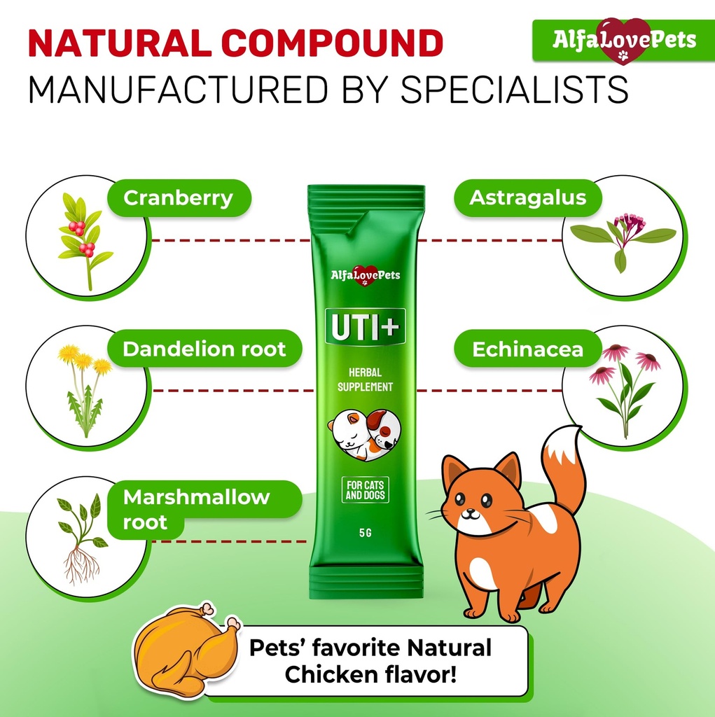 cat-uti-treatment-for-frequent-urination-3.jpg