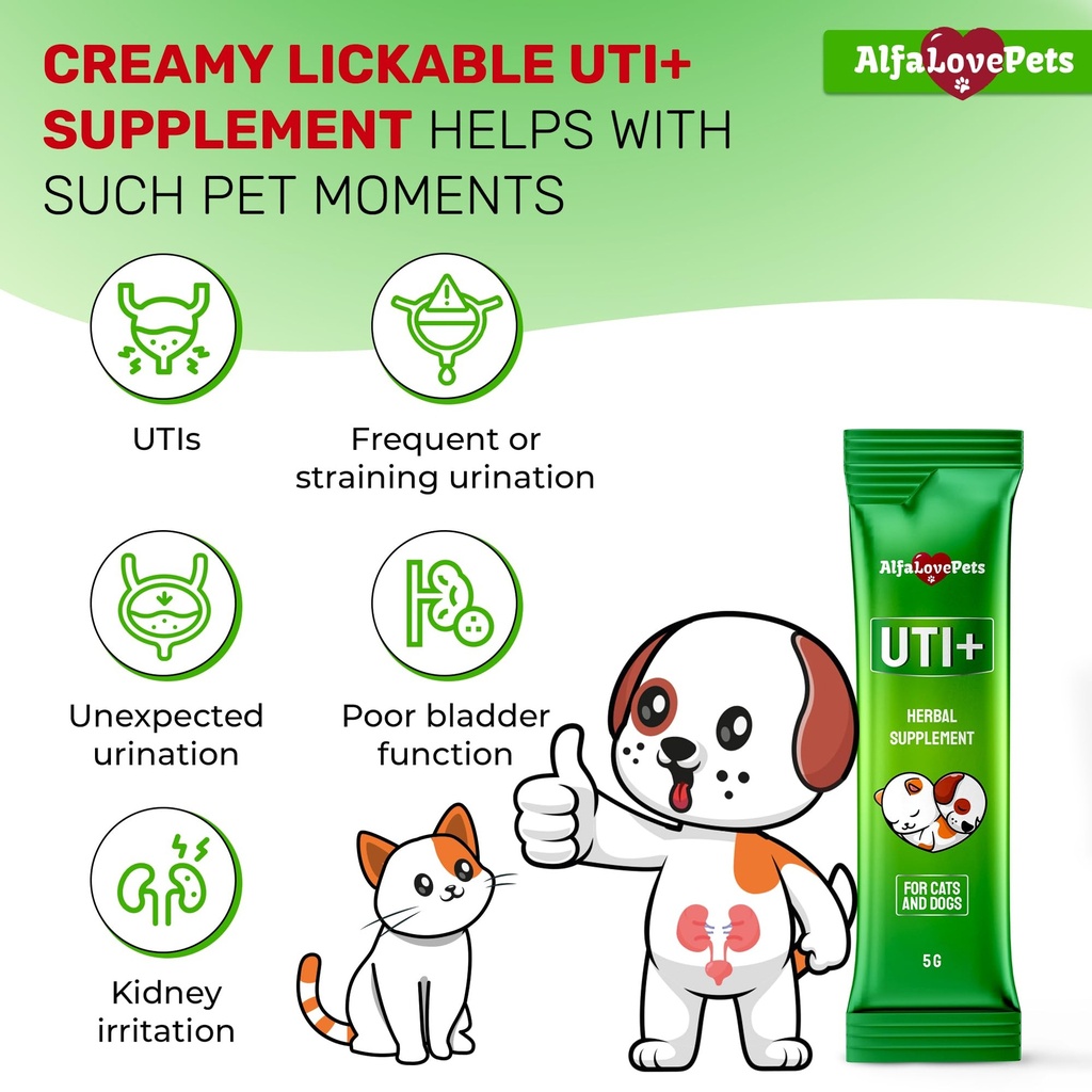 cat-uti-treatment-for-frequent-urination-2.jpg
