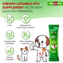 cat-uti-treatment-for-frequent-urination-2.jpg