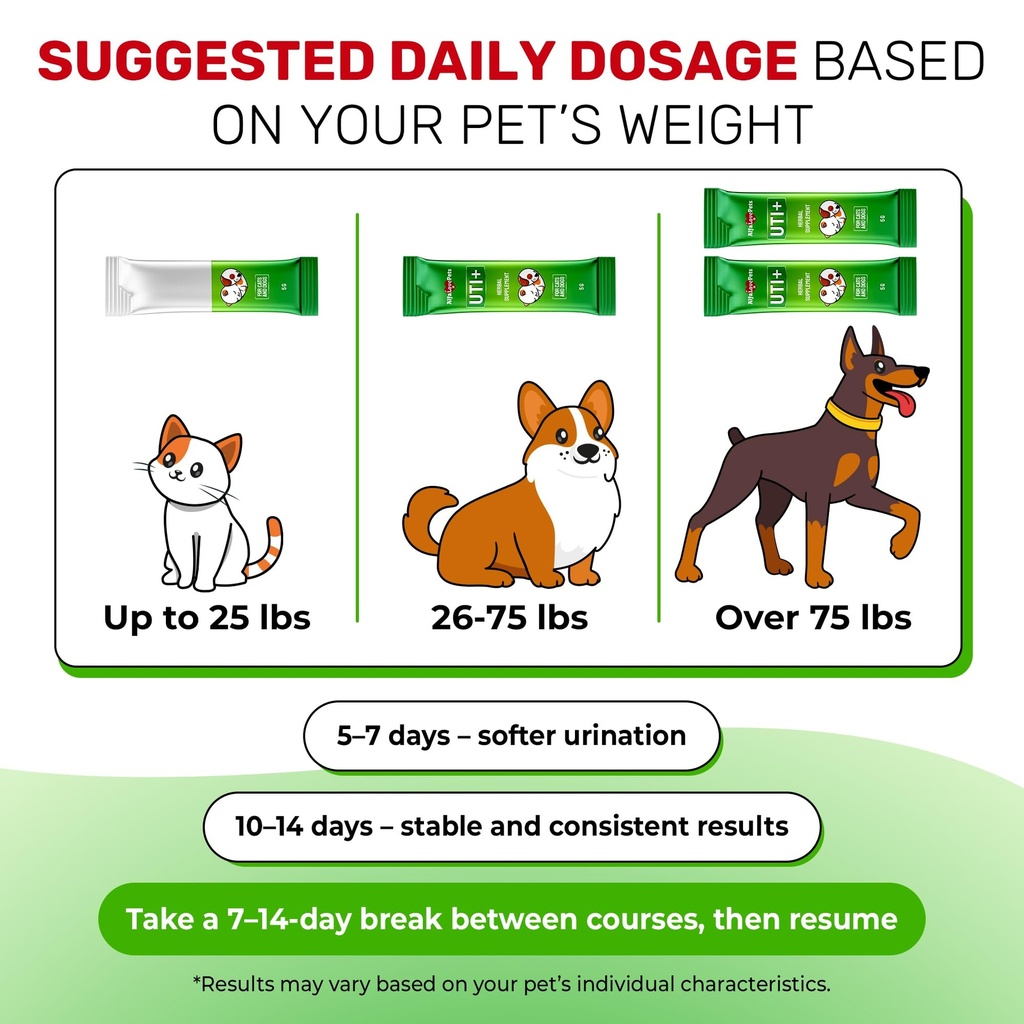 cat-uti-treatment-for-frequent-urination-5.jpg