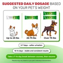 cat-uti-treatment-for-frequent-urination-5.jpg